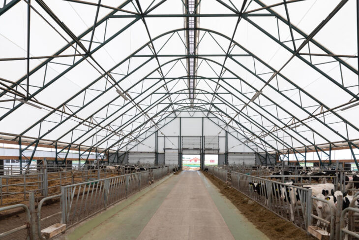 Large cattle barn with steel frame and feeding stalls inside