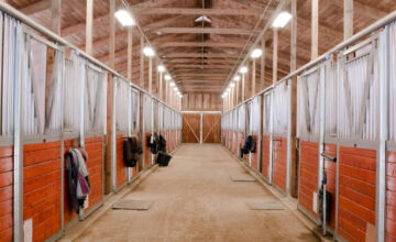 5 Essential Tips for Building a Safe and Functional Horse Barn in Fargo, ND